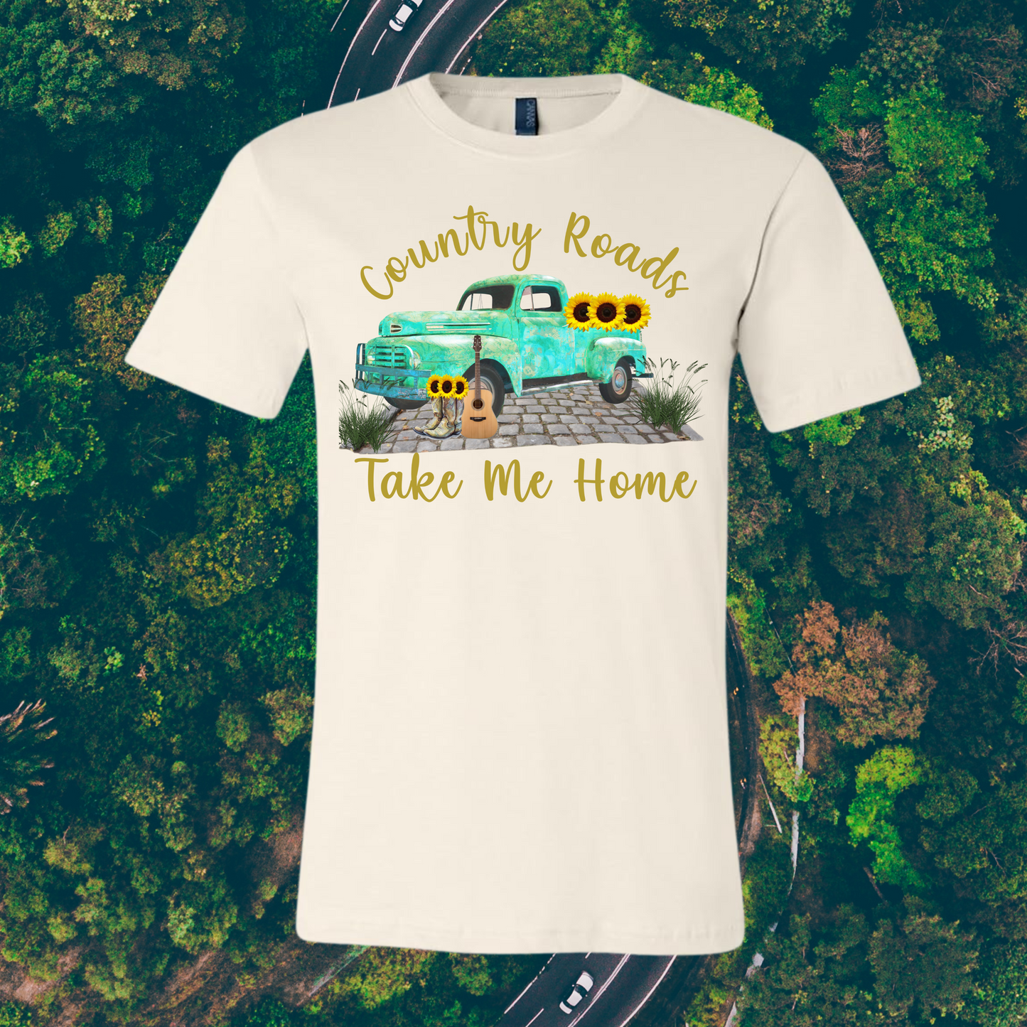 Country Road Take Me Home