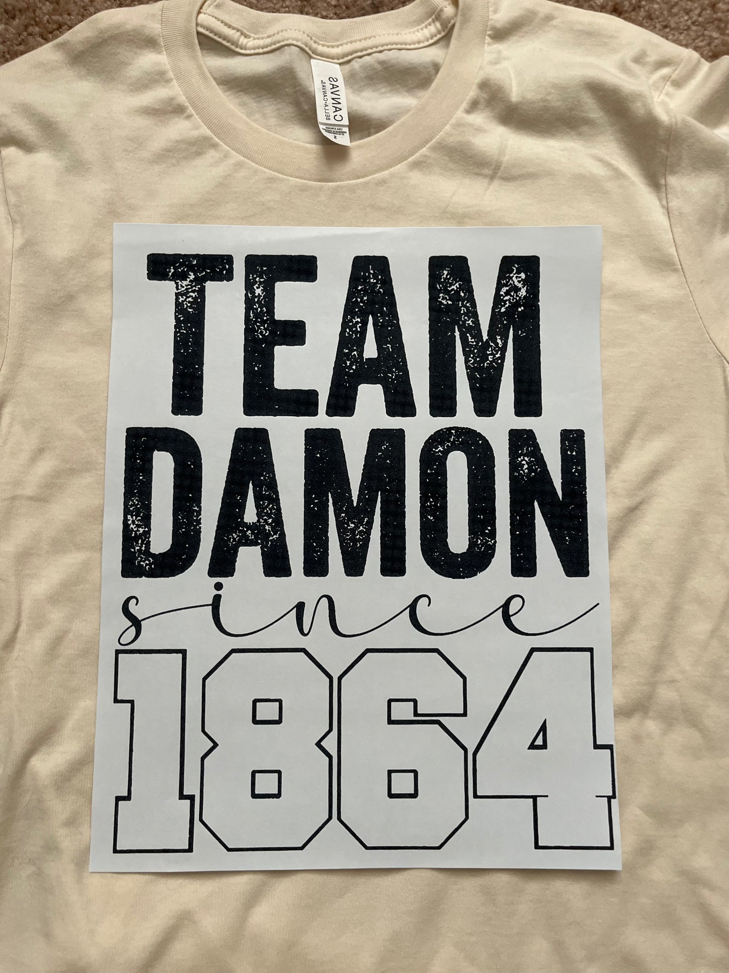 Team Damon
