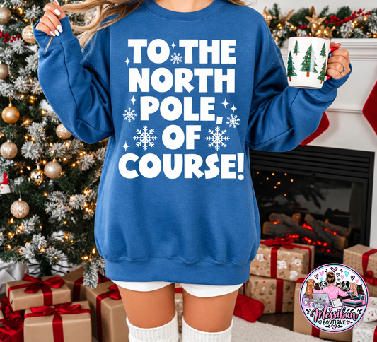 To The North Pole Of Course!