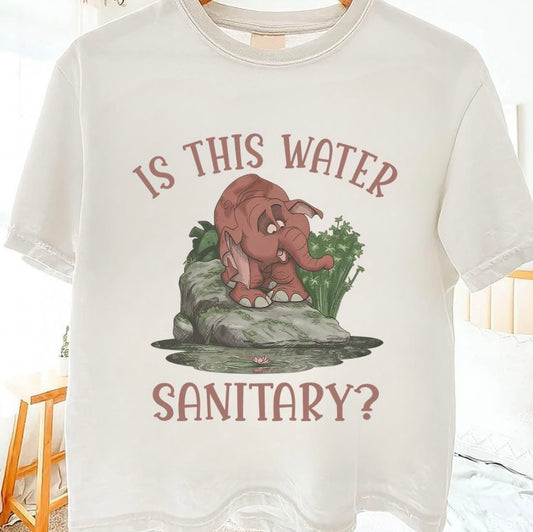 Is This Water Sanitary?